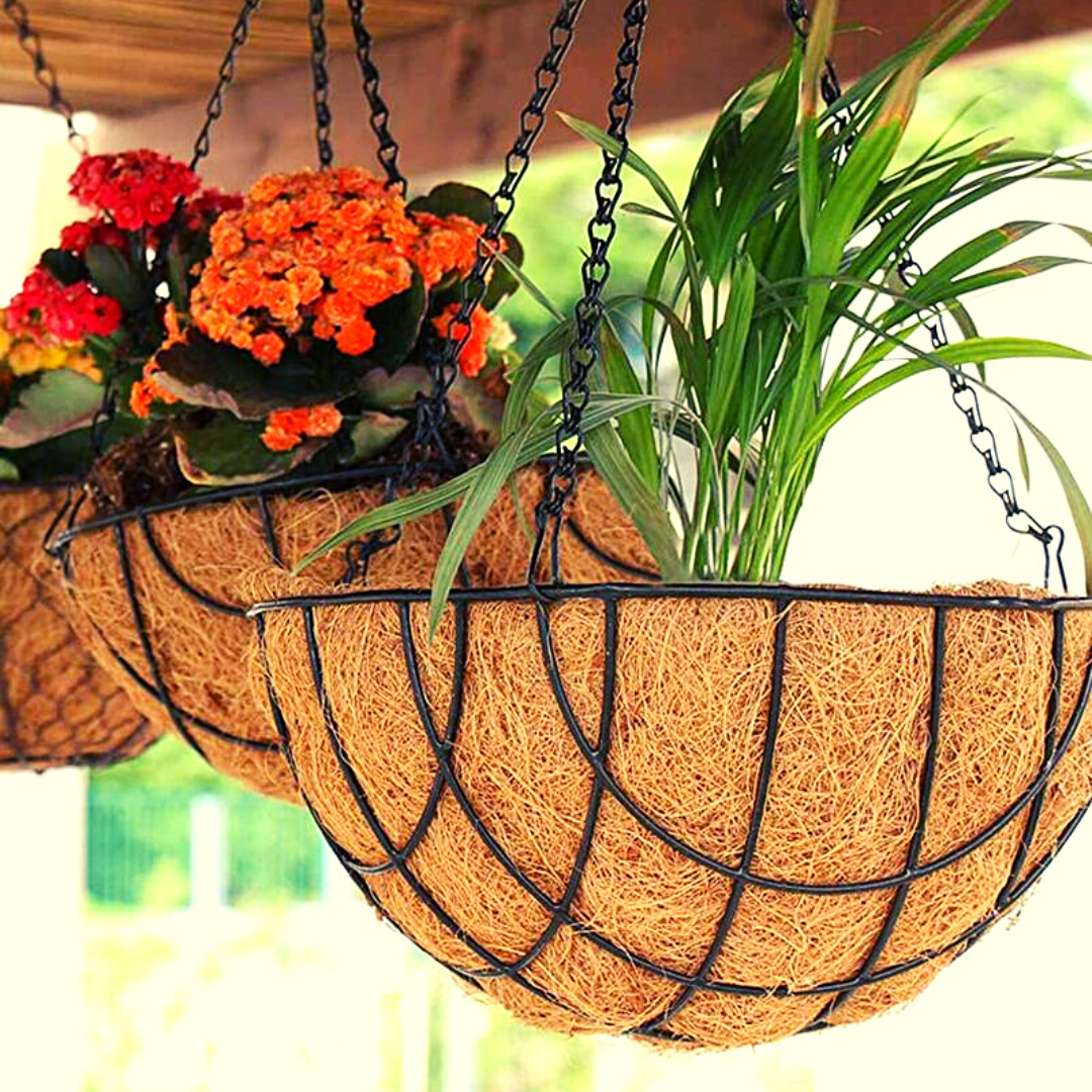 Homefrills Metal Hanging Planter Basket with Coco Coir Liner Round Wire Plant Holder with Chain Porch Decor Hanging Baskets (Set of 2, Size-10 Inch, Brown)